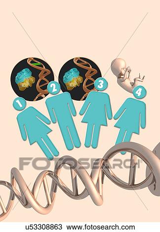 Drawing - Three parent IVF, artwork. Fotosearch