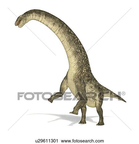 Titanosaurus dinosaur, artwork View Large Illustration Clip Art - Titanosaurus dinosaur, artwork. Fotosearch
