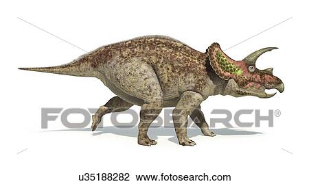 Triceratops dinosaur, artwork View Large Illustration Drawing - Triceratops dinosaur, artwork. Fotosearch