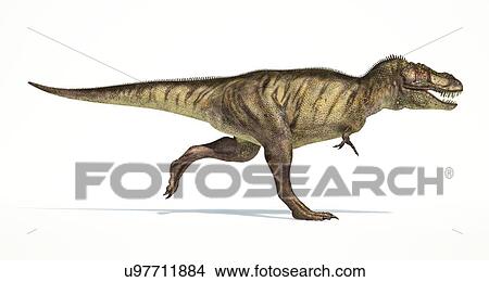 Tyrannosaurus rex dinosaur, artwork View Large Illustration Stock Illustration - Tyrannosaurus rex dinosaur, artwork. Fotosearch