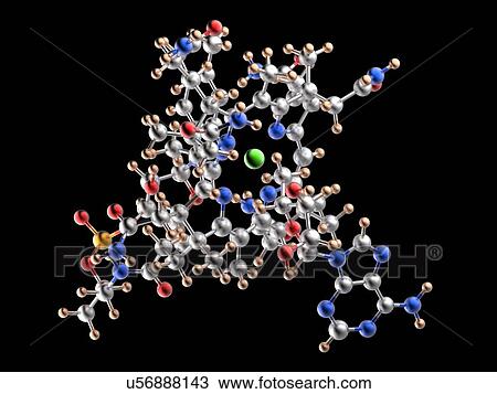 Drawing - Vitamin B12 cobalamin molecule. Fotosearch
