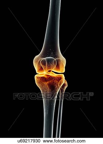 Clipart - Human knee, artwork. Fotosearch