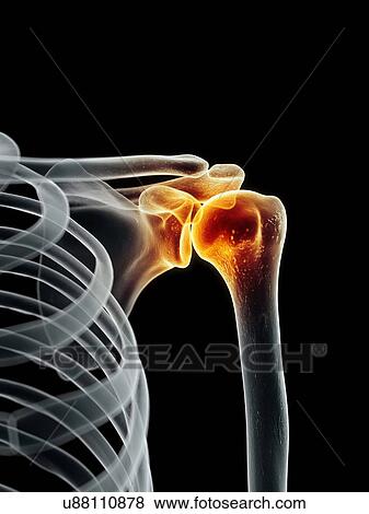 Human shoulder joint, artwork View Large Illustration Stock Illustration - Human shoulder joint, artwork. Fotosearch