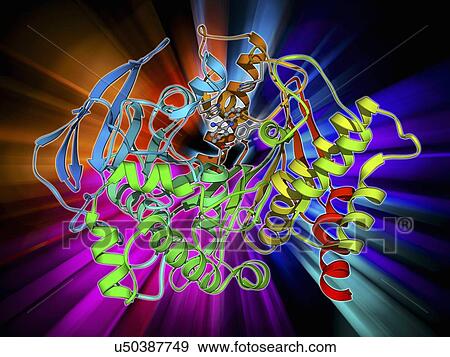 Acetylcholinesterase molecule View Large Illustration Stock Illustration - Acetylcholinesterase molecule. Fotosearch