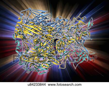 Stock Illustration - Adenovirus hexon protein. Fotosearch