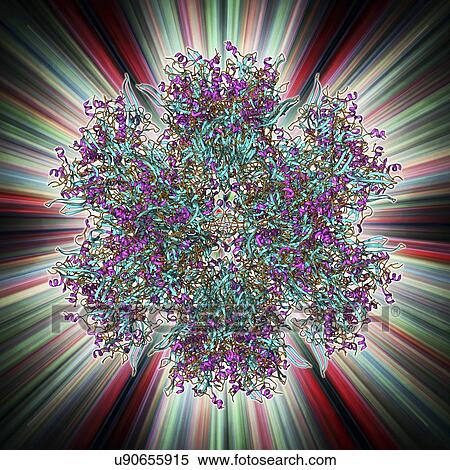 Adenovirus penton base protein View Large Illustration Stock Illustration - Adenovirus penton base protein. Fotosearch