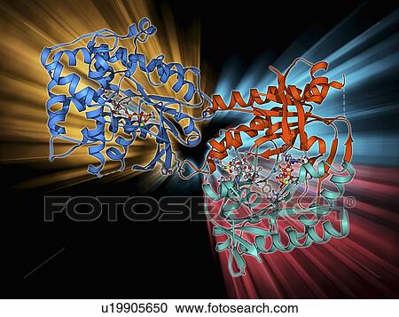 Adenylyl cyclase enzyme molecule View Large Illustration Clipart - Adenylyl cyclase enzyme molecule. Fotosearch