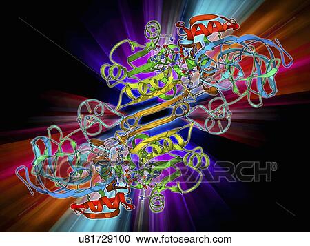 Clipart - Alcohol dehydrogenase molecule. Fotosearch