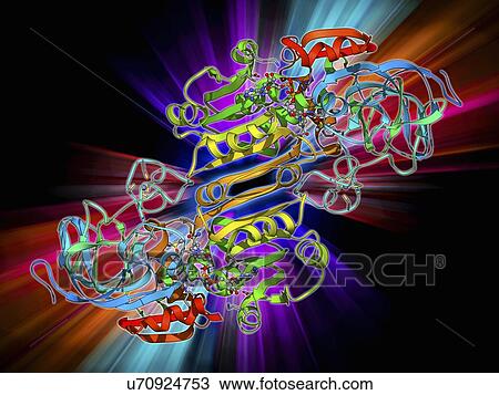 Drawing - Alcohol dehydrogenase molecule. Fotosearch