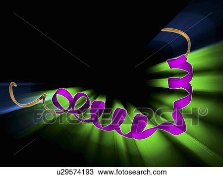 Drawing - Amyloid beta protein molecule. Fotosearch