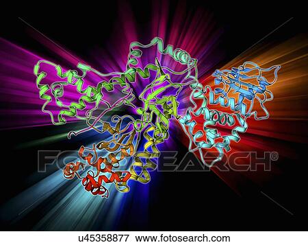 Stock Illustration - Anthrax lethal factor molecule. Fotosearch