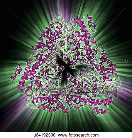Stock Illustration - Anthrax oedema factor molecule. Fotosearch