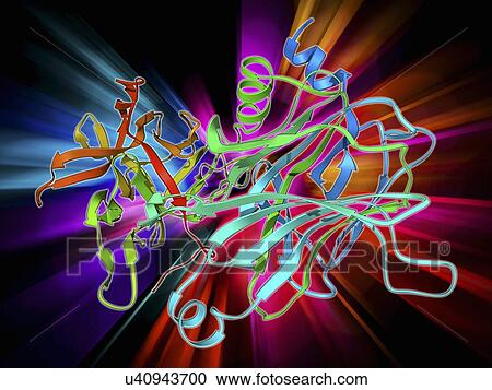 Anthrax protective antigen molecule View Large Illustration Clipart - Anthrax protective antigen molecule. Fotosearch