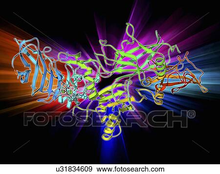 Anthrax protective antigen molecule View Large Illustration Stock Illustration - Anthrax protective antigen molecule. Fotosearch