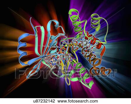 Antibiotic resistance enzyme molecule View Large Illustration Drawing - Antibiotic resistance enzyme molecule. Fotosearch