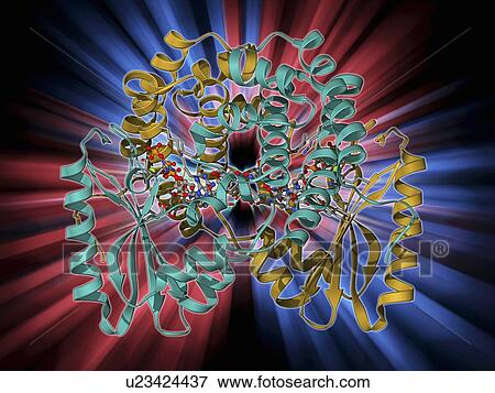 Stock Illustration - Antibiotic resistance enzyme molecule. Fotosearch