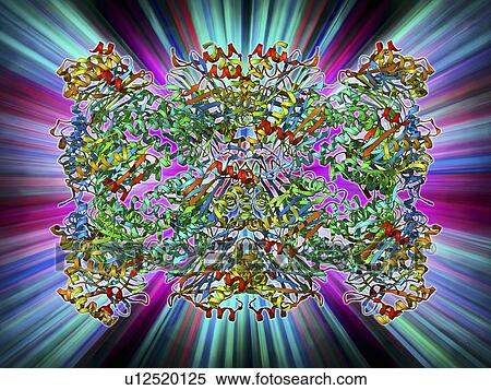 Stock Illustration - Archaeon enzyme, molecular model. Fotosearch