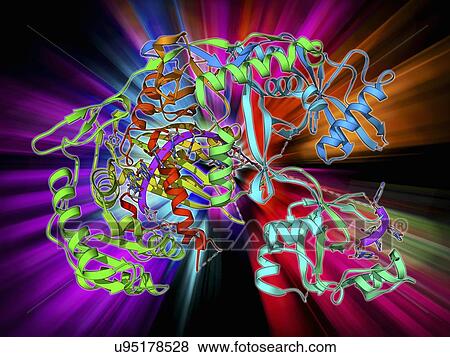 Argonaute protein and microRNA View Large Illustration Stock Illustration - Argonaute protein and microRNA. Fotosearch