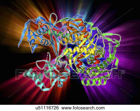 Stock Illustration - Argonaute protein molecule. Fotosearch