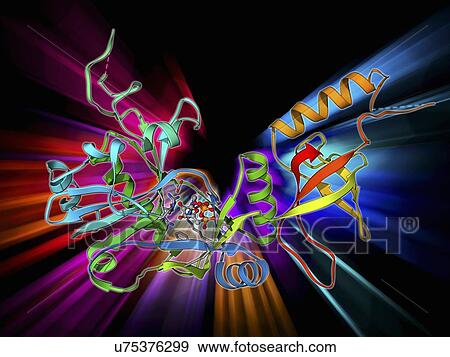 Stock Illustration - ATP-dependent DNA ligase molecule. Fotosearch