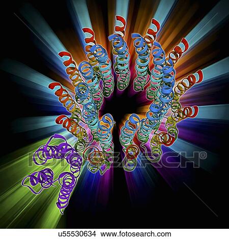 Stock Illustration - ATP synthase molecule. Fotosearch