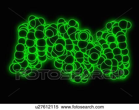 B DNA (Deoxyribonucleic acid), artwork View Large Illustration Stock Illustration - B DNA (Deoxyribonucleic acid), artwork. Fotosearch