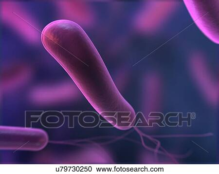 Bacteria, artwork View Large Illustration Clipart - Bacteria, artwork. Fotosearch
