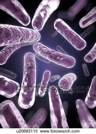 Stock Illustration - Bacteria, artwork. Fotosearch