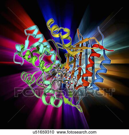 Clipart - Bacterial cell wall enzyme molecule. Fotosearch