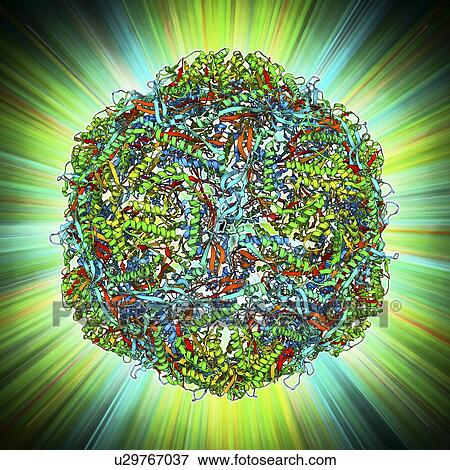 Bacterial nanocompartment View Large Illustration Stock Illustration - Bacterial nanocompartment. Fotosearch