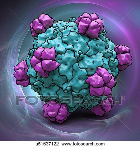 Drawing - Bacteriophage alpha 3, artwork. Fotosearch
