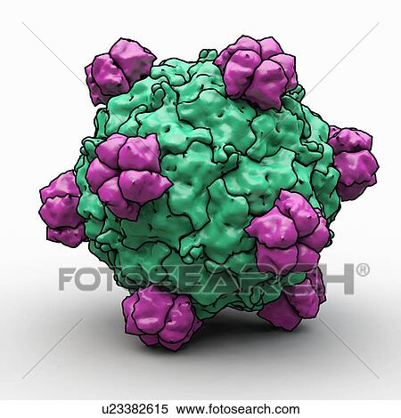 Stock Illustration - Bacteriophage alpha 3, artwork. Fotosearch