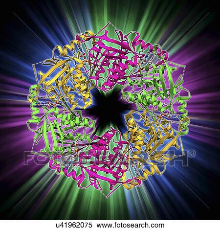 Bacteriophage ATPase molecule View Large Illustration Stock Illustration - Bacteriophage ATPase molecule. Fotosearch