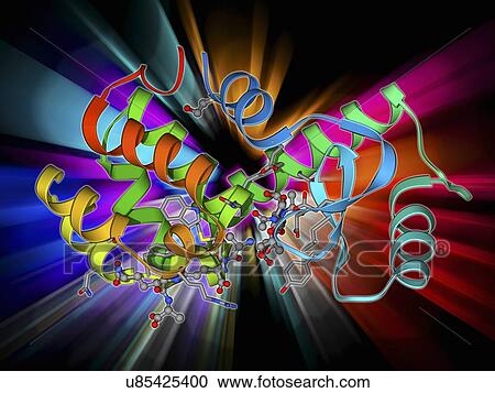 Clipart - Bacteriophage T4 lysozyme molecule. Fotosearch