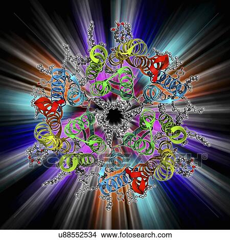 Stock Illustration - Bacteriorhodopsin protein. Fotosearch