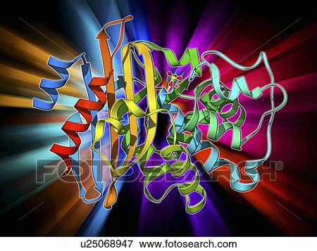 Beta-lactamase molecule View Large Illustration Stock Illustration - Beta-lactamase molecule. Fotosearch