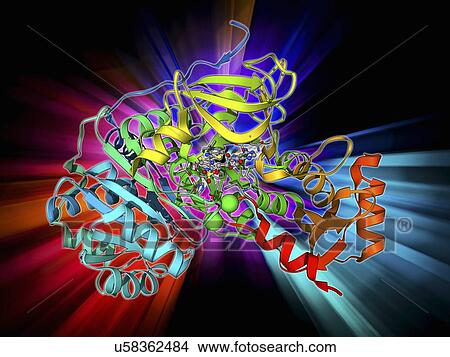Bioluminescent enzyme molecule View Large Illustration Stock Illustration - Bioluminescent enzyme molecule. Fotosearch