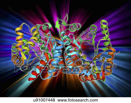 Stock Illustration - Bioluminescent enzyme molecule. Fotosearch