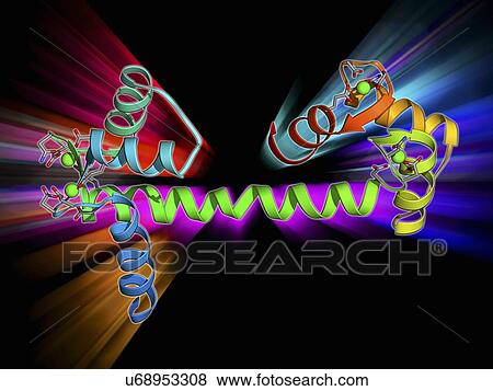 Calcium-binding protein molecule View Large Illustration Stock Illustration - Calcium-binding protein molecule. Fotosearch