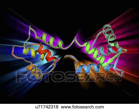 Calcium-binding protein molecule View Large Illustration Stock Illustration - Calcium-binding protein molecule. Fotosearch