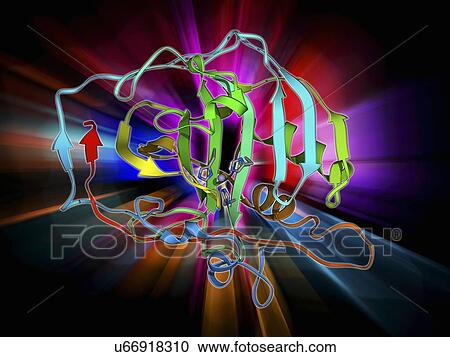 Carbonic anhydrase II molecule View Large Illustration Clipart - Carbonic anhydrase II molecule. Fotosearch