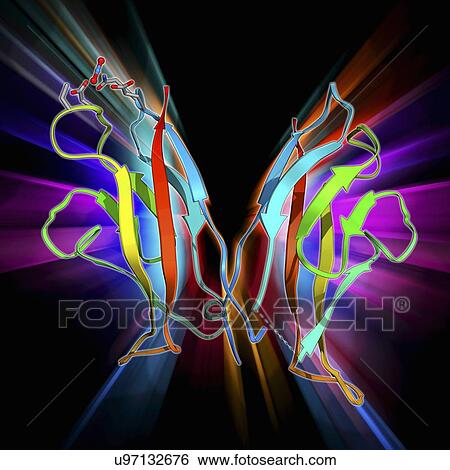 Cell adhesion protein molecule View Large Illustration Stock Illustration - Cell adhesion protein molecule. Fotosearch