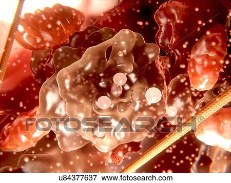 Cell organelles, artwork View Large Illustration Stock Illustration - Cell organelles, artwork. Fotosearch