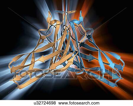 Stock Illustration - Cellulosome-integrating protein fragment. Fotosearch