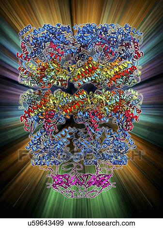 Stock Illustration - Chaperonin protein complex. Fotosearch