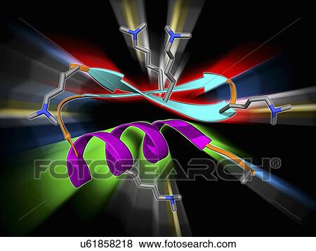 Stock Illustration - Chinese scorpion toxin structure. Fotosearch