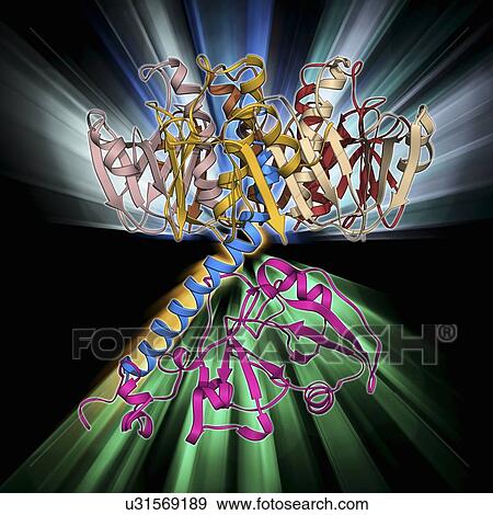Cholera toxin molecule View Large Illustration Stock Illustration - Cholera toxin molecule. Fotosearch