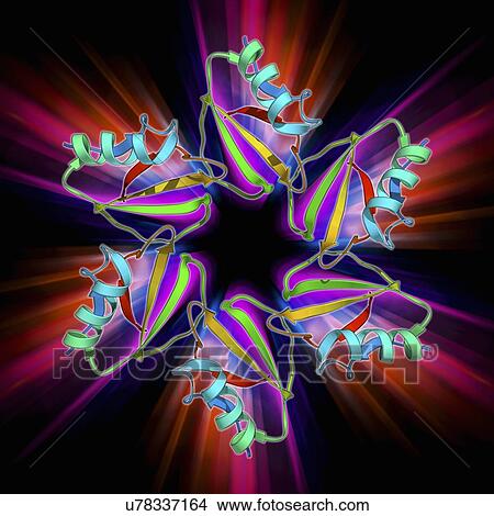 Chymotrypsin inhibitor 2 molecule View Large Illustration Stock Illustration - Chymotrypsin inhibitor 2 molecule. Fotosearch