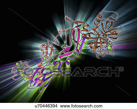 Stock Illustration - Coagulation factor complex molecule. Fotosearch