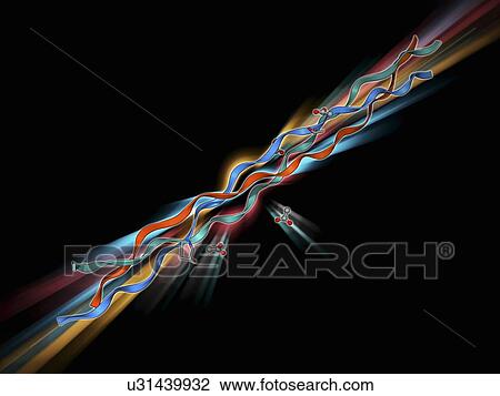 Collagen-like molecule T3-785 View Large Illustration Drawing - Collagen-like molecule T3-785. Fotosearch